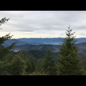 Meet your Posher, Brad